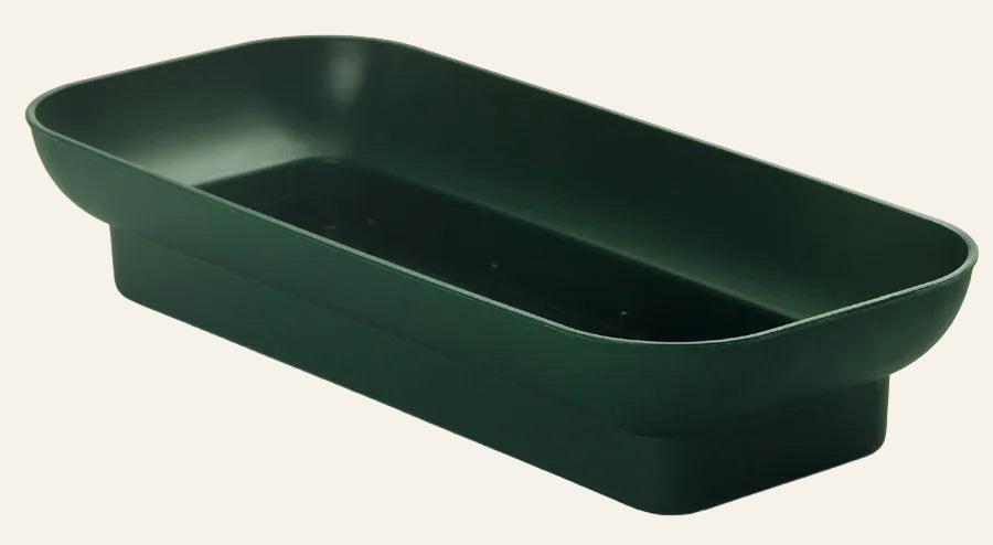 Green rectangular dish on a white background