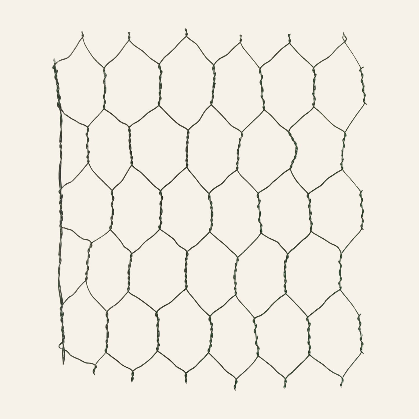 Hexagonal wire mesh on a white background