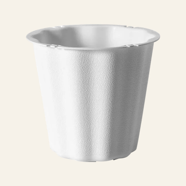 off white container on a white background