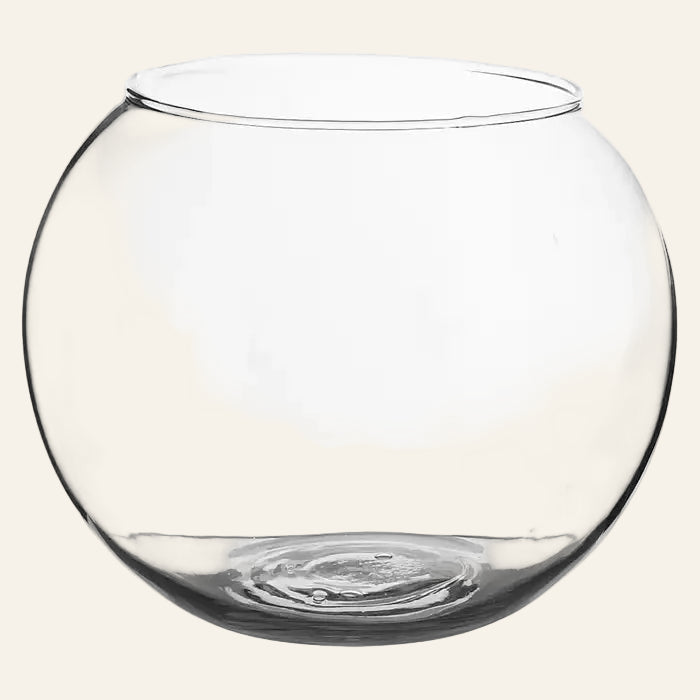 Clear glass vase on a white background