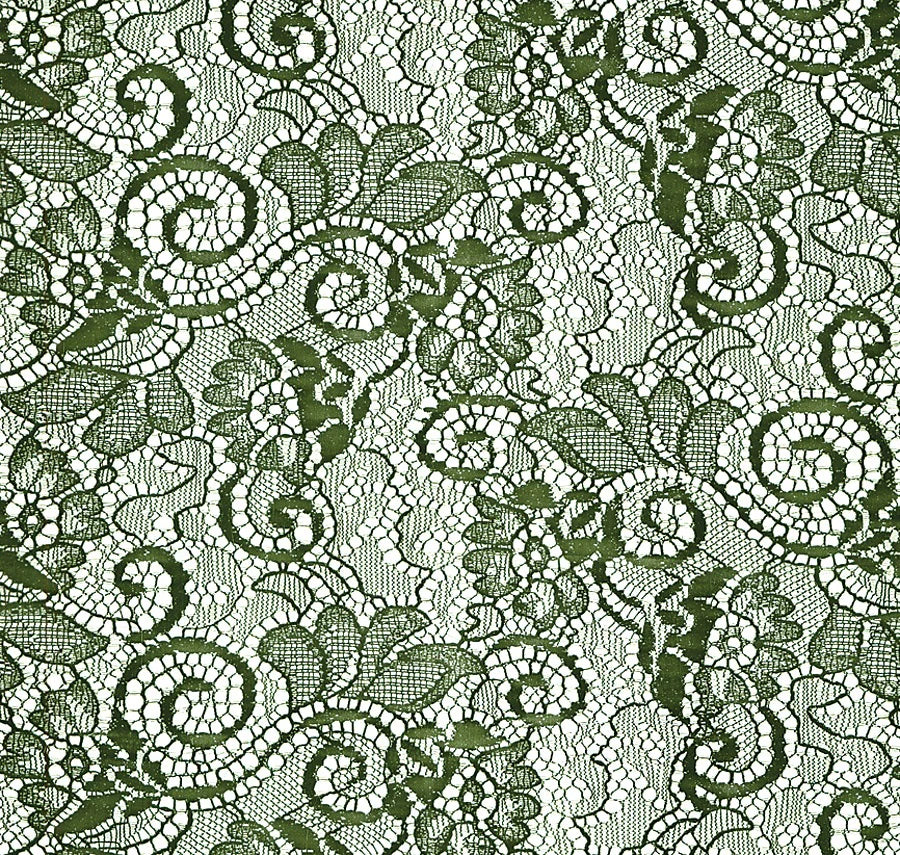 Green lace pattern on a white background