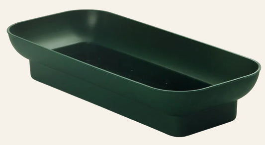 Green rectangular dish on a white background