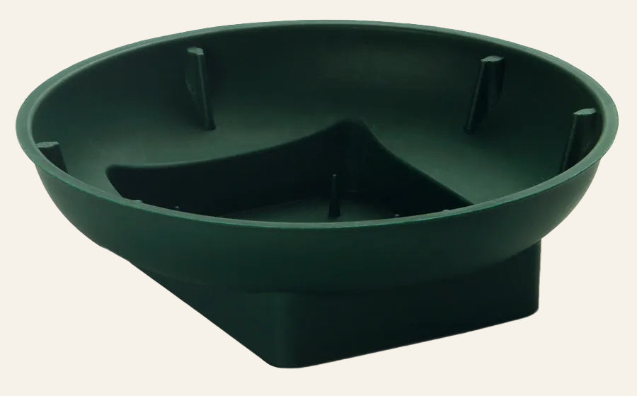 Green plastic tray on a white background