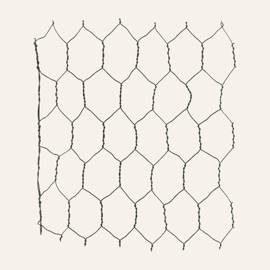 Hexagonal wire mesh on a white background