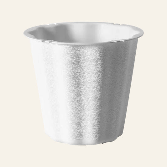 off white container on a white background