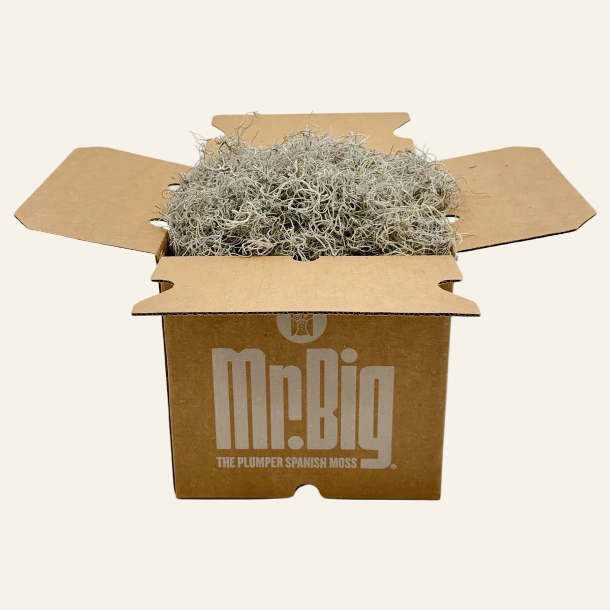 Box of Spanish moss with 'Mr. Big' branding on a white background